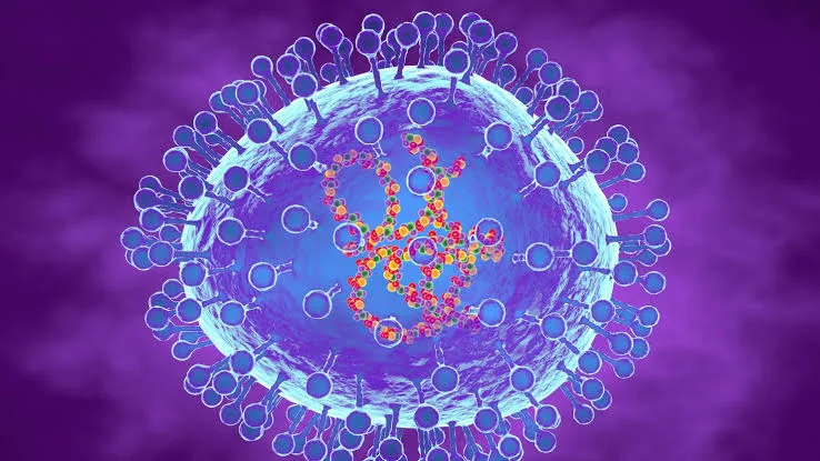Hmpb Virus