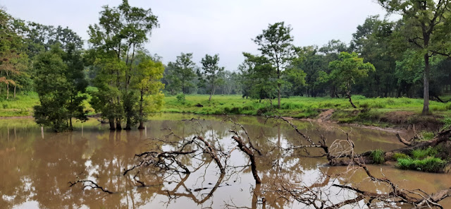 https://kp4all.blogspot.com/2023/05/nagarahole-forest-rajiv-gandhi-national.html