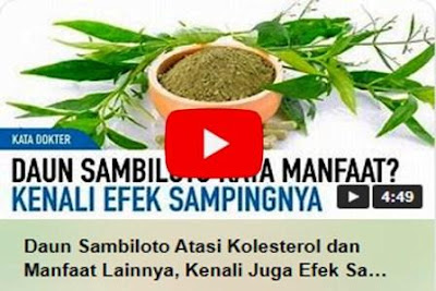 https://keranjangkesehatan.gankoko.com/2023/02/manfaat-dan-efek-daun-sambiloto.html