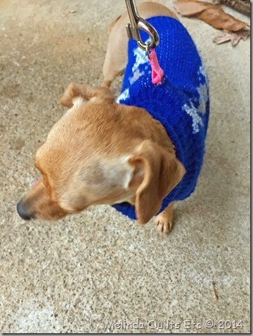1214 Susie in sweater from Buddy