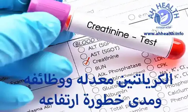 الكرياتنين معدله ووظائفة ومدى خطورة ارتفاعه