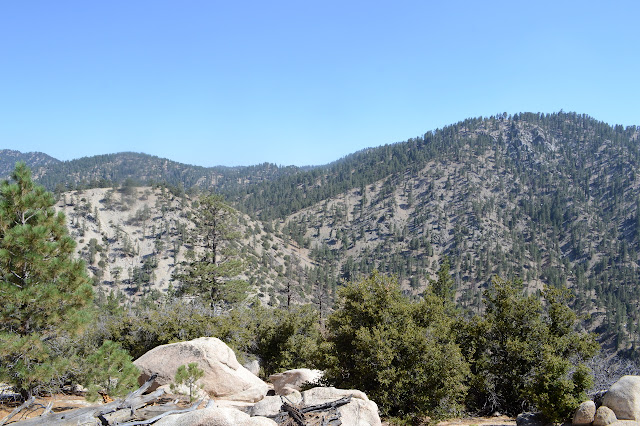 bump without much vegetation and Winston Peak with a bit