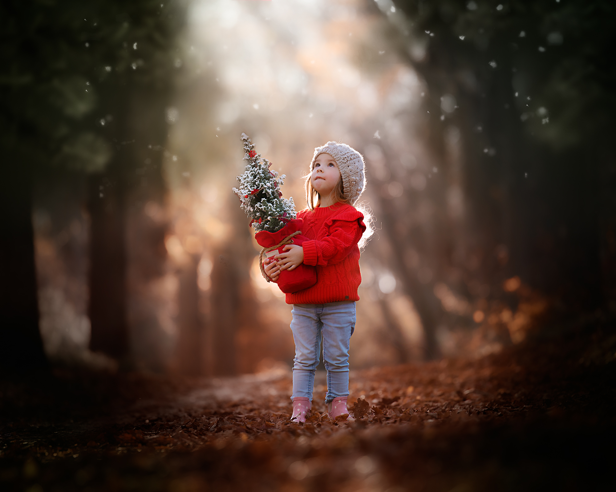 Portret van een meisje met een kerstboom in een winterbos door natuurlijk licht fotograaf opleiding en workshops Willie Kers uit Apeldoorn