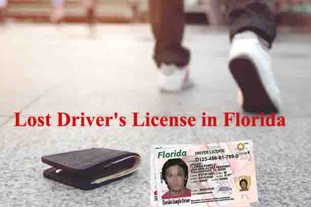 Lost Driver's License in Florida