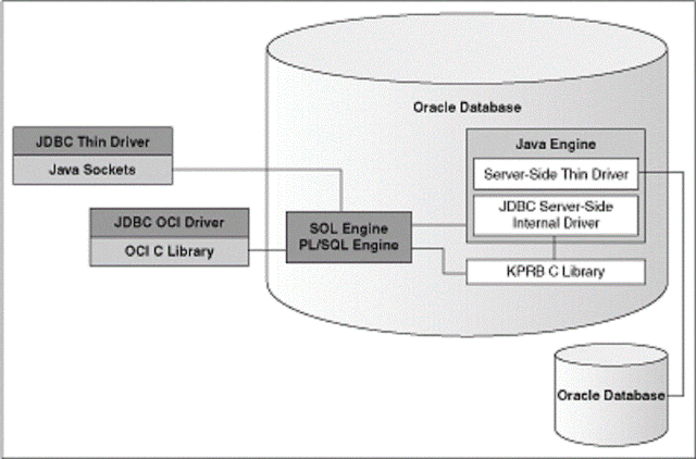  mistake comes when you lot seek to connect to Oracle  How to solve java.lang.UnsatisfiedLinkError: no ocijdbc11 inwards Java
