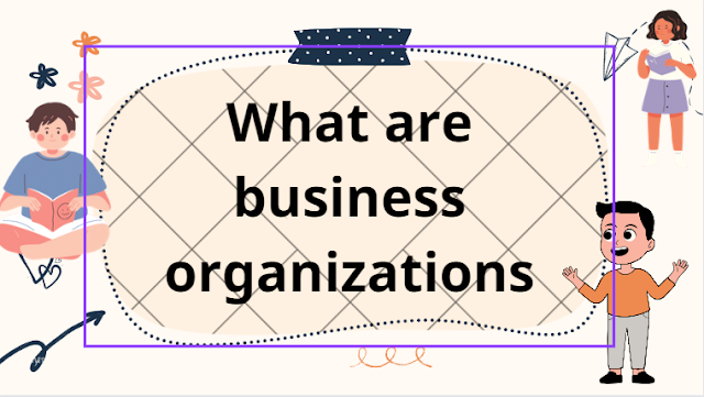 What are business organizations