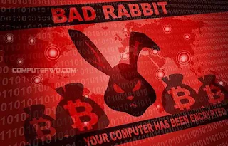 الأرنب السيء Bad Rabbit