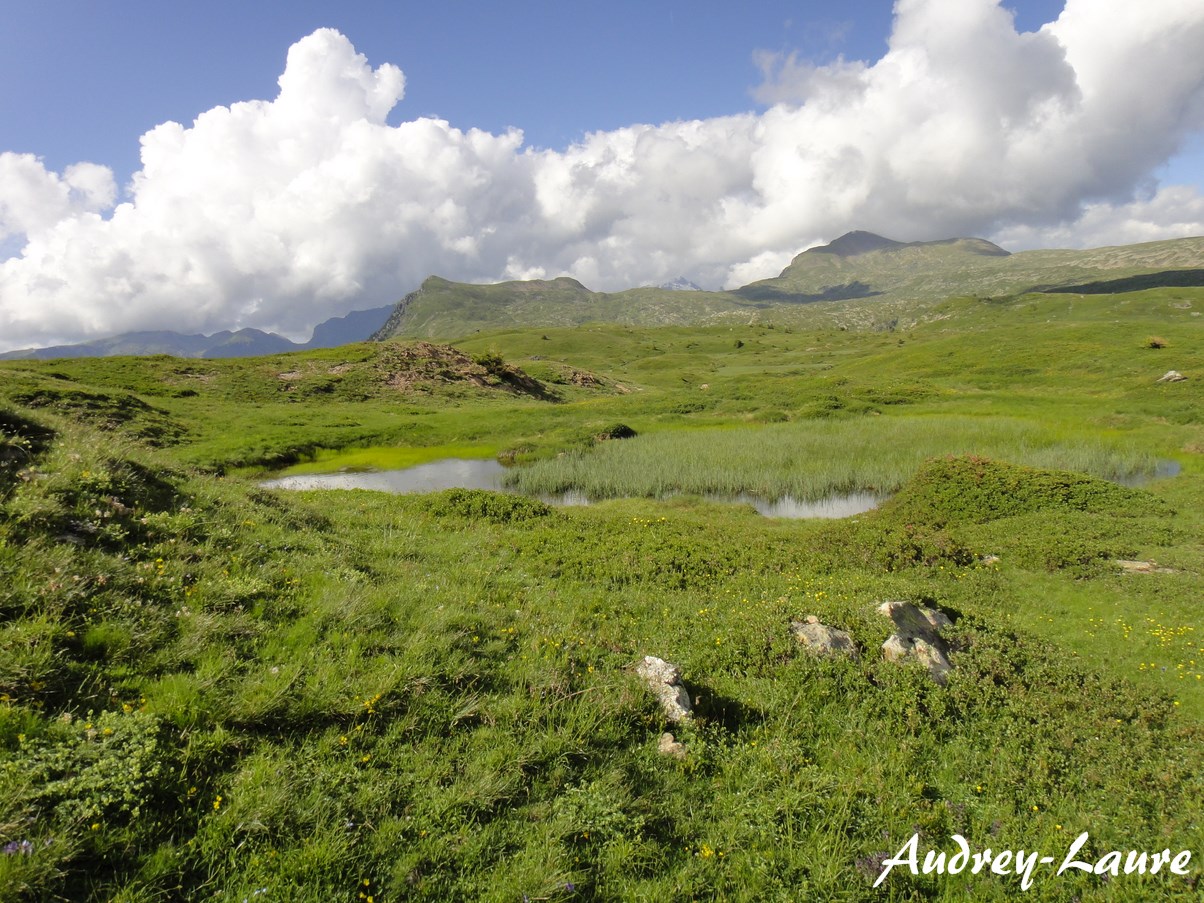 plateau des lacs