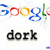 Pengertian dan Fungsi Google Dork