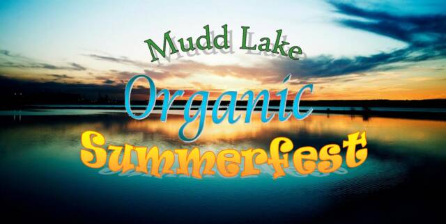 summerfest logo 2010. Lake Organic Summerfest!