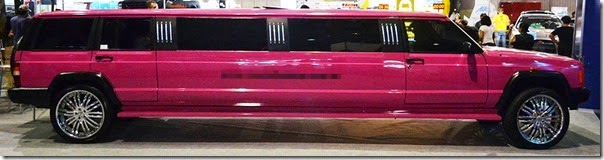 auto esporte expo show (19)
