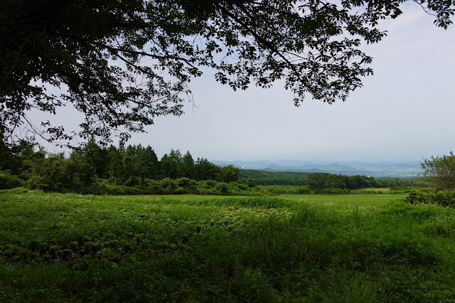 鳥取県西伯郡大山町赤松　別荘地の道からの眺望