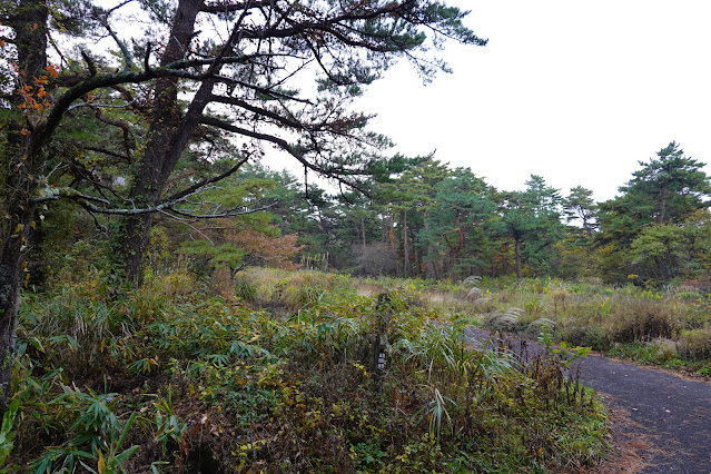 鳥取県西伯郡伯耆町岩立　鳥取県道45号倉吉江府溝口線（大山環状道路）の袋小路