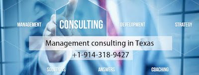  Management Consulting in Texas
