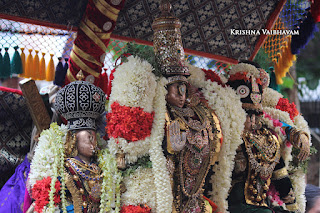 Aani,Lakshmi Narasimhar,Purappadu , Vahanam,Sri Theliya Singar, Yoga Narasimhar,Brahmotsavam ,Purappadu,Video, Divya Prabhandam,Sri Parthasarathy Perumal, Triplicane,Thiruvallikeni,Utsavam,