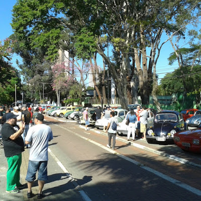 Fuscas reunidos numa alameda bem arborizada.