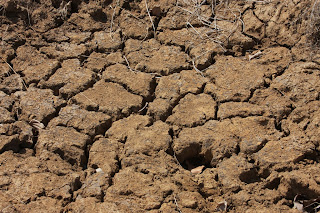 Cracked ground from drought