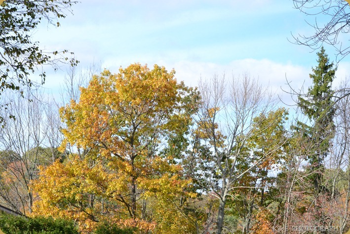 DSC_4538
