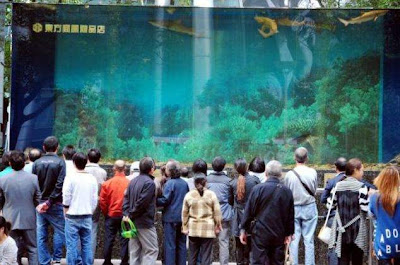 Aquarium 33 Ton Berisi Hiu Hancur di Dalam Mall