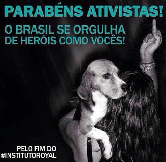 INSTITUTO ROYAL NA MIRA DAS INVESTIGAÇÕES  Ativistas contra o uso de animais em testes científicos pediram nesta terça-feira (29), em audiência pública na Câmara dos Deputados, que se aprofundem as investigações sobre as acusações de maus-tratos em animais usados em pesquisas científicas no Instituto Royal, em São Roque (SP). Em meados de outubro, manifestantes invadiram a sede do instituto e retiraram 178 cachorros da raça beagle do local.  O relator da comissão externa criada pela Câmara para investigar o caso do Instituto Royal, deputado Ricardo Tripoli (PSDB-SP), cobrou a divulgação das pesquisas feitas, dos indivíduos pesquisados e os resultados alcaçados até o momento. Segundo o deputado, a divulgação não tem ocorrido, mesmo constando do estatuto do instituto.  A presidente da Uipa (União Internacional Protetora dos Animais), Vanice Orlandi, criticou a lei que regulamenta as pesquisas científicas com animais. “ A Lei Arouca fala em comissão de ética, mas não existe comissão que impeça que o animal seja submetido a dor e angústia. Eles recebem anestésicos, cuja ação tem duração limitada.”  Vanice destacou que a “sociedade é vítima de um logro” ao acreditar que a experimentação animal é vista como única alternativa viável à pesquisa. “ Nós somos levados a crer que as experimentações com animais são imprescindíveis, e não são. A consciência que nós temos que nos faz sentir dor é a mesma dos animais, e a comissão de ética não vai impedir que haja sofrimento.”  O representante da Anvisa (Agência Nacional de Vigilância Sanitária), Pedro Cássio Binsfield, disse que a legislação sobre o uso de animais para fins científicos e didáticos está sob análise da agência reguladora. A autarquia avalia se há lacunas referentes à fiscalização das pesquisas para produção de medicamentos e cosméticos que podem ter impacto no uso de cobaias. A legislação não especifica o órgão responsável pela fiscalização dos laboratórios de pesquisa em animais.  A Anvisa quer rever, avaliar suas normas que impliquem na obrigação de uso de animais em pesquisas. O estudo sobre a legislação atual será discutido em reunião com a comissão científica da Anvisa em novembro.   O advogado do Instituto Royal, Alexandre Domingos Serafim, negou que os animais estivessem sofrendo maus-tratos e garantiu que o instituto não fazia testes com animais para cosméticos ou produtos de higiene. Segundo o advogado, os testes para esses produtos são feitos in vitro, ou seja, fora de sistemas vivos e em ambiente controlado, na sede do instituto em Porto Alegre. Serafim destacou ainda que os testes feitos com animais eram feitos com objetivo de testar a segurança dos medicamentos e que não havia “inoculação de doenças” (contaminação) no animal.  De acordo com o advogado, a prefeitura de São Roque suspendeu a licença para funcionamento do instituto porque as instalações foram danificadas. O laboratório está impedido de funcionar por, pelo menos, 60 dias.  Fonte: R7