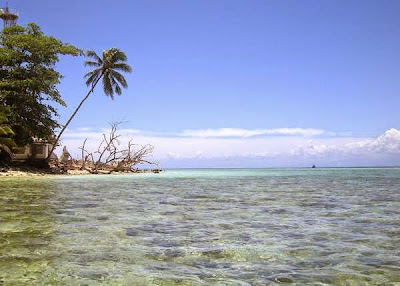  Pernah dengar tidak jikalau ada sebuah pulau yang berjulukan Pulau Tikus pemirsa Wisata Pulau Tikus Di Kota Bengkulu