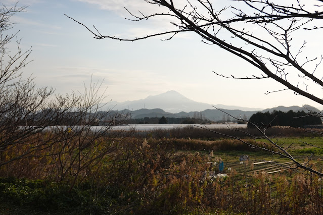 島根県安来市島田町 大山の眺望