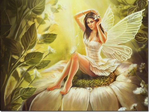 HADAS BUSCOIMAGENES  (13)