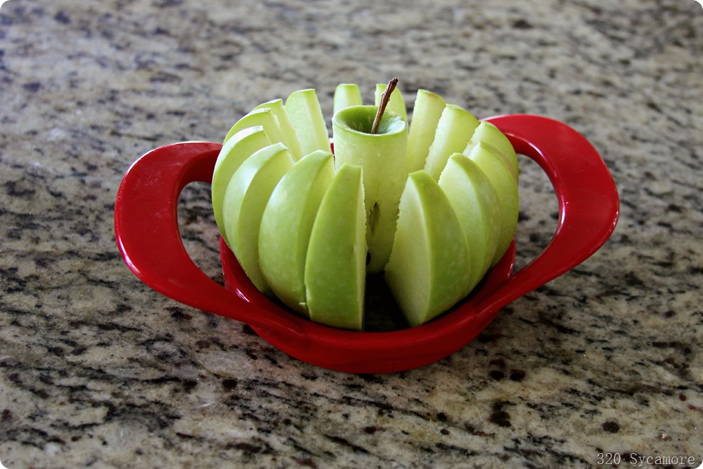 16 apple slicer 16 apple slicer