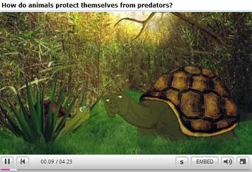 How do animals protect themselves from predators?