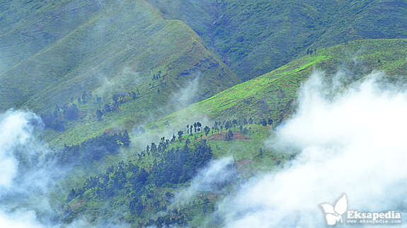 Menikmati Keindahan Gunung  Merbabu Dari Oemah Bamboe 