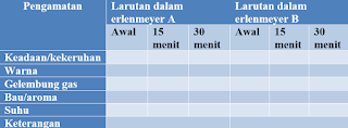 Lembar Kerja Praktikum Fermentasi Alkohol