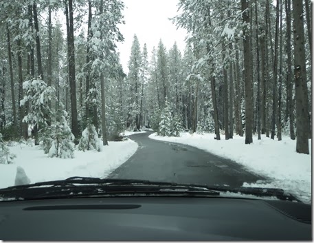 Donner Lake Snow