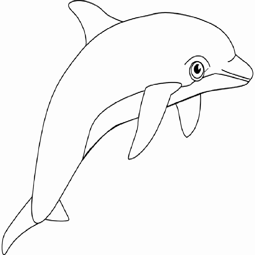 Free coloring pages of dolphin jumping out of water