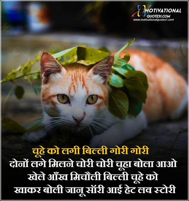 Cat Quotes Image Hindi || कैट क़ोटस इमेजेस हिन्दी