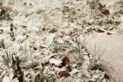 20111112 first snow (3) edit