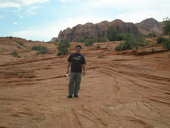 Dek on petrified sand