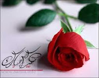 Eid Rose Cards