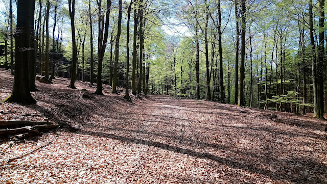 Sauerland wandern Wetter blog Arnsberger Wald Möhnesee