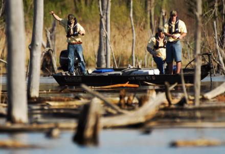 Banner Marsh3