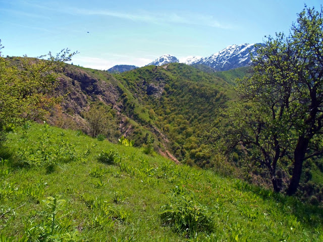 Переход с верхней Чайки в Оджук, ущелье Варзоб, горы Таджикистана