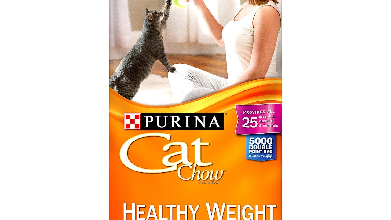 Weight Loss Cat Food - Cat Choices