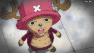 ワンピース アニメ エニエスロビー編 293話 チョッパー Tony Tony Chopper | ONE PIECE Episode 293 Enies Lobby