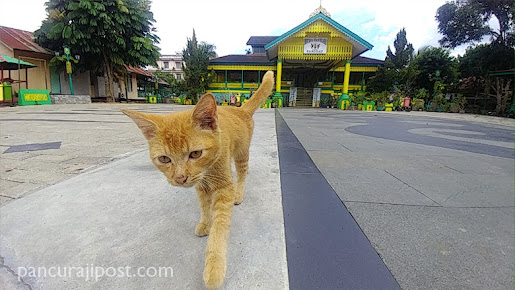 Kawasan Istana Surya Negara Sanggau Photo