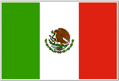 Flag Of Mexico 9