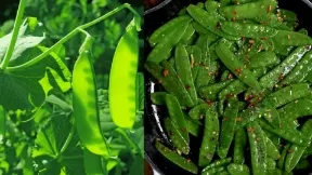 Snow peas