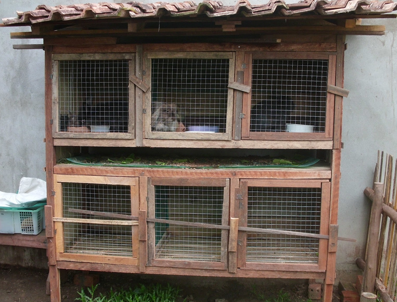 Cara membuat kandang umbaran ayam bangkok sederhana dan ...