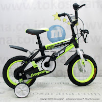 Sepeda Anak Evergreen EG1240 12 Inci 