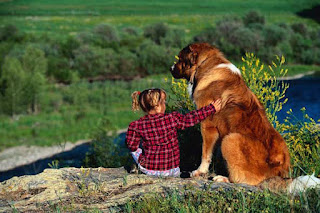 A cute little girl is sitting with a big brown dog 