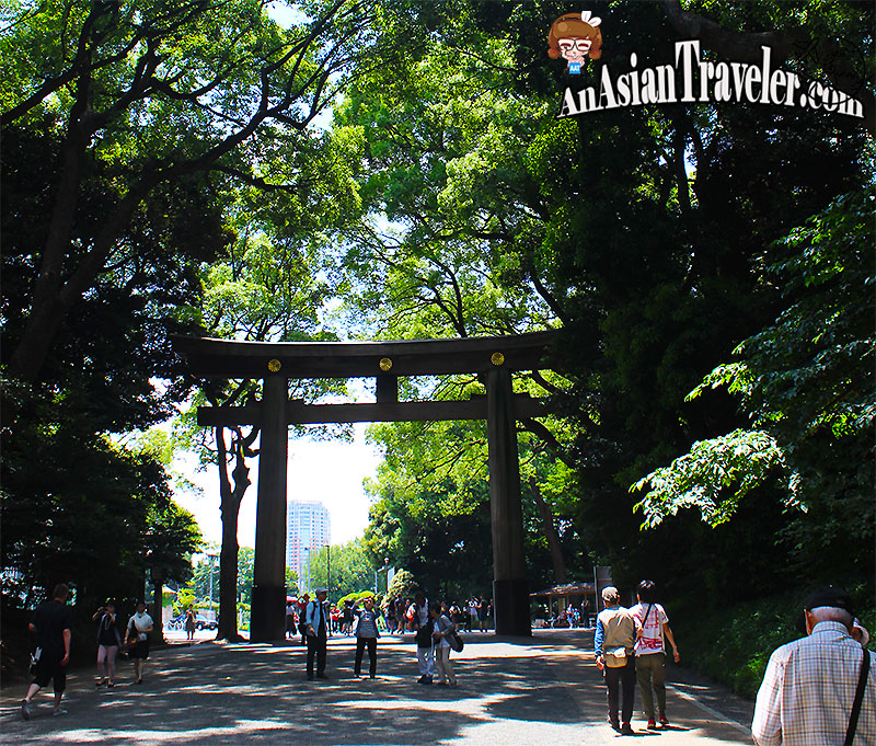 Torii Gate at Meiji Jingu