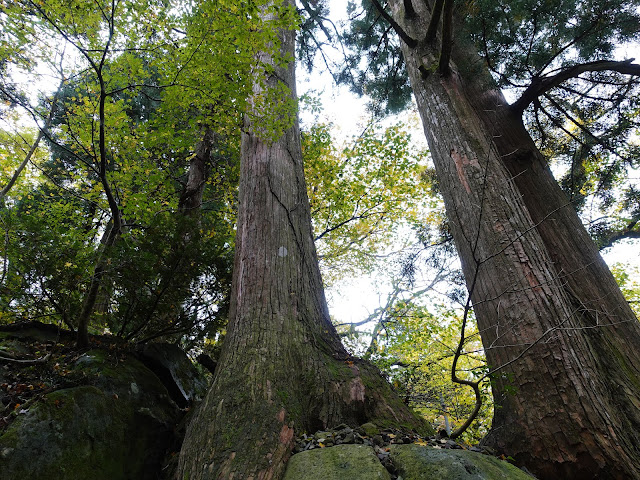 大神山神社の石畳参道